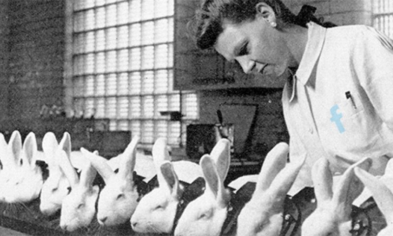 What the..? Nu weer niét chatten in Facebook-app