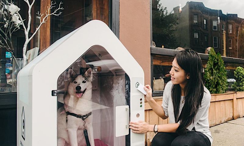 Deze high-tech garage voor honden laat baasjes rustig shoppen