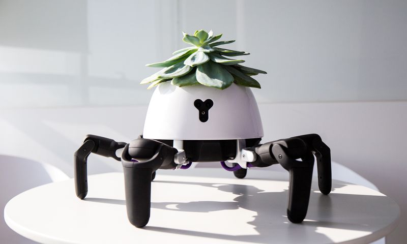 Plant krijgt pootjes dankzij robot