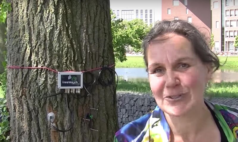 Dit is de eerste twitterende boom van Nederland