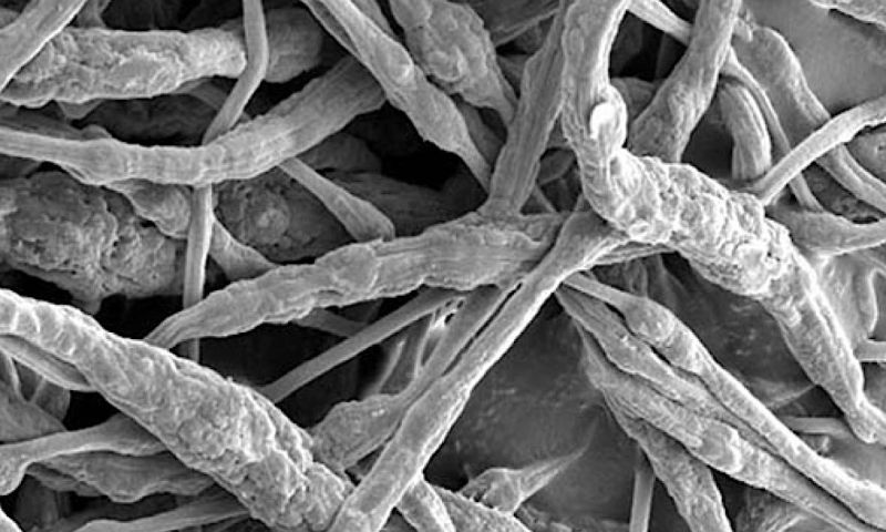 Deze accu blust zichzelf als hij in brand vliegt