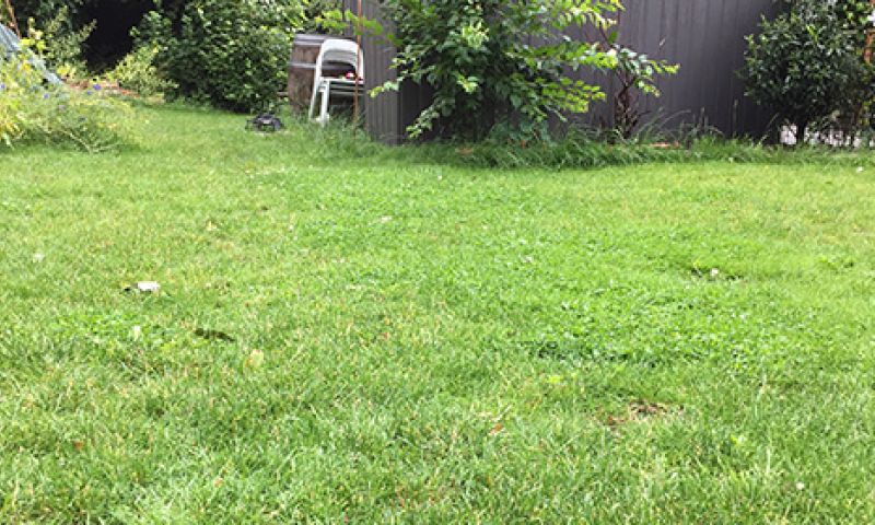 Duurtest: Robomow, ons oordeel na de vakantie (slot)