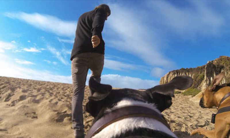 Met GoPro Fetch film je een hondenleven