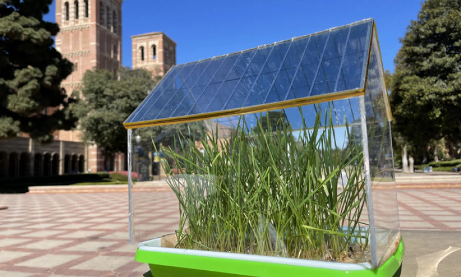 zonnecellen kas zonnepanelen kassen wetenschap