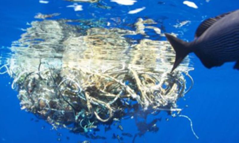 Crowdfunding wil journalisten aan 't werk zetten