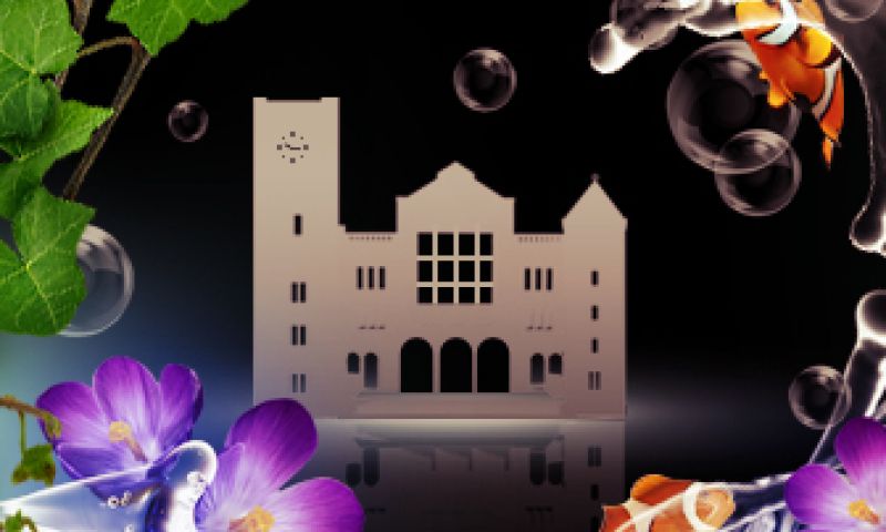 Vlinders op de Beurs van Berlage