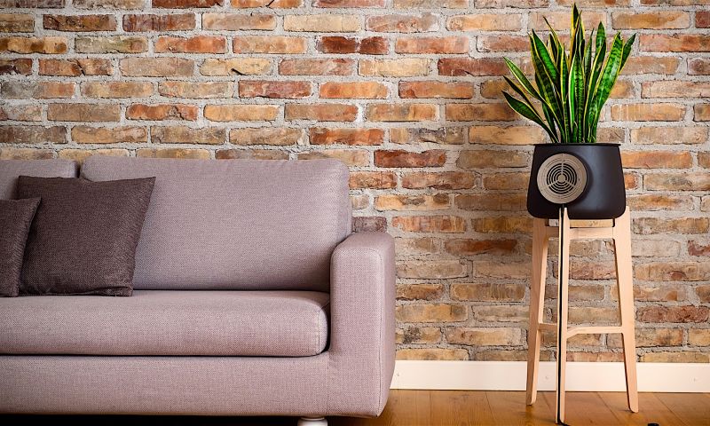 Zuiver de lucht met bloemen