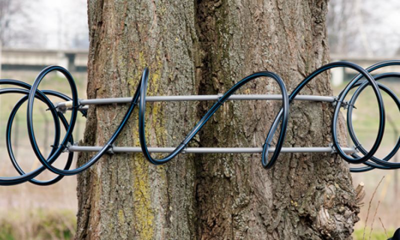 Van p2p naar tree2tree: praten via een netwerk van boomantennes