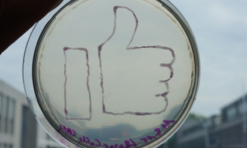 Bacterieprinter van TU Delft-studenten internationaal in de prijzen