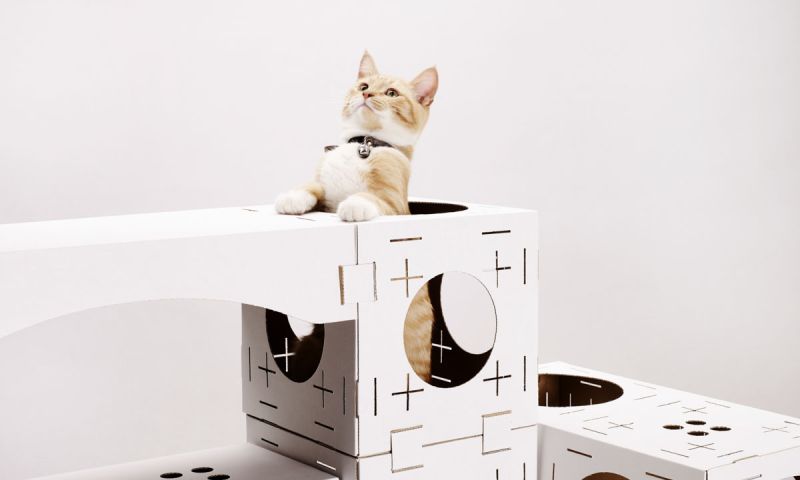 Caturday: Kattencrib voor designinterieurs