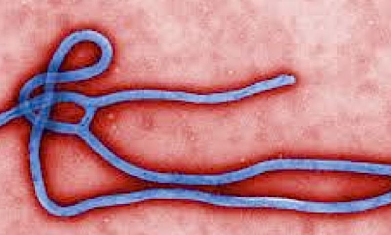 Software 9 dagen eerder met ebola-alarm dan WHO