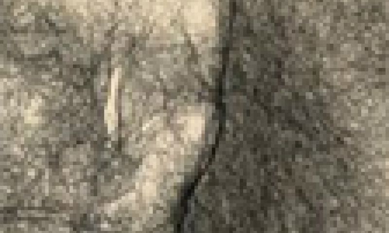 Geprogrammeerde potloodschets