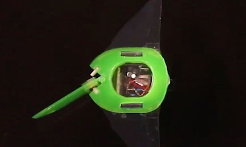 Wetenschappers maken zwemmende zachte robots