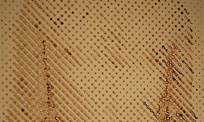 DDW: Nieuwe organen via 'bioprinting' en alles kan je meten