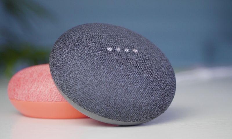 review google Nest Mini speaker nederland kopen