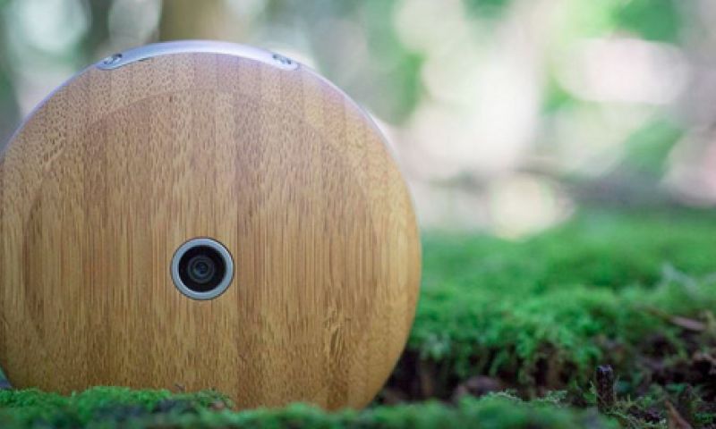 Smartphone? Smartwatch? Runcible is een beetje van beide