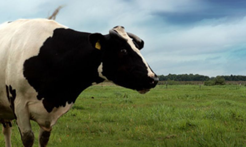 Uitlegparty: Biologisch