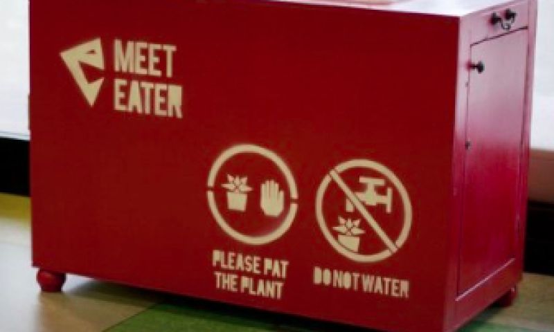 Geef een plant water door Facebook-vriendjes te worden