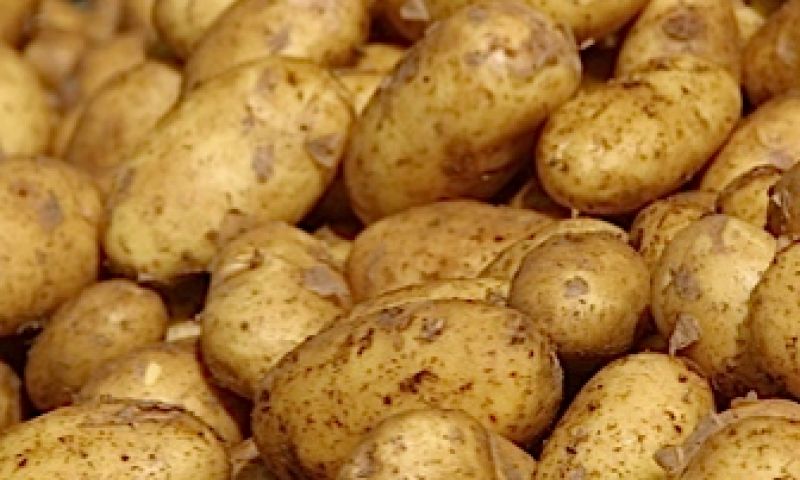 Op deze pen mag je kauwen