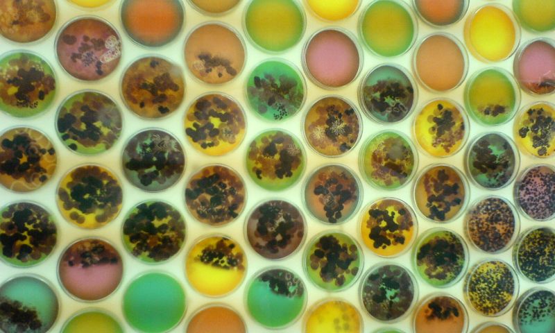 Bacteriën zijn de nieuwe supertools