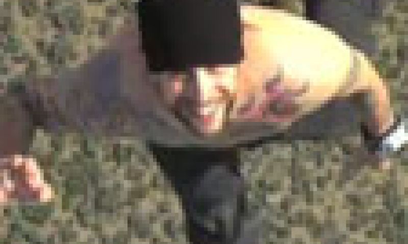 Naturistische vlieger