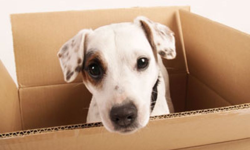 Gift2gether laat je samen cadeaus geven