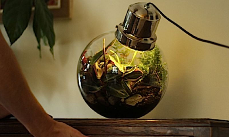 Groei je eigen universum in een potje