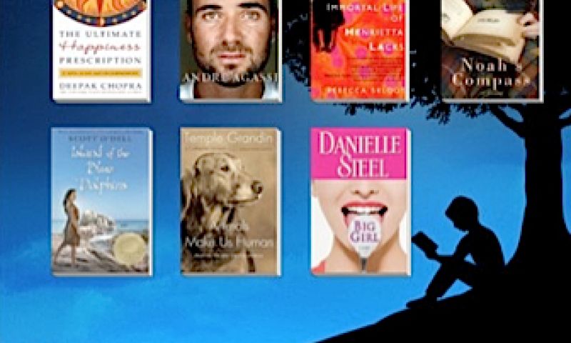 Verschillende ebook-apps voor iPad in de maak