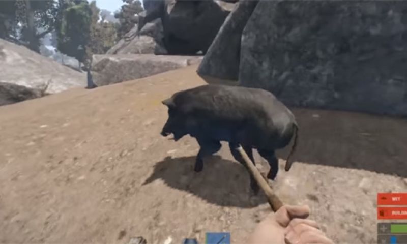 Vlog: Eten of gegeten worden in 'survival games'