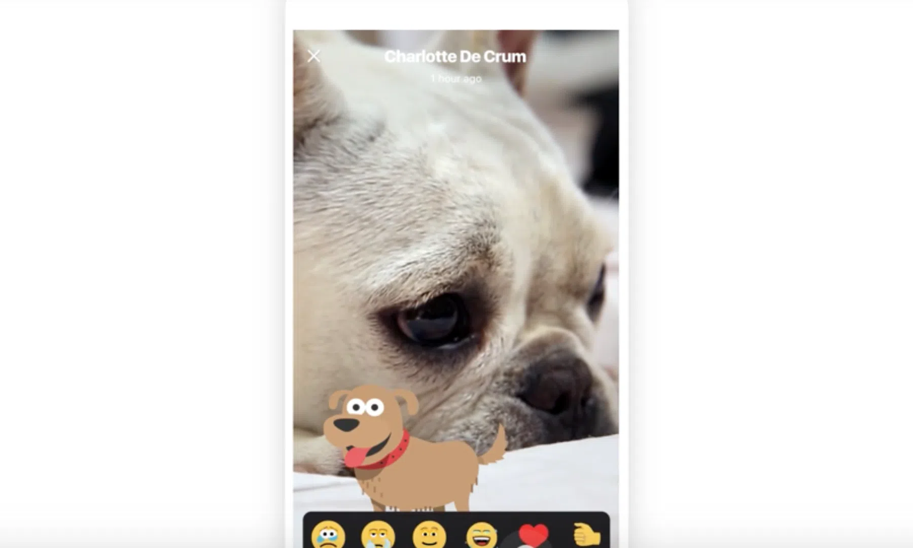 Ook Skype gaat Snapchat nadoen
