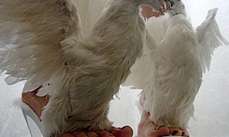 Slangenleren schoenen met de kop er nog aan