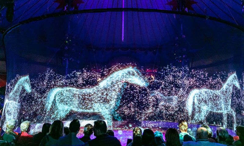 circus dierenleed diervriendelijk hologram dieren holografisch 3d camera roncalli duits