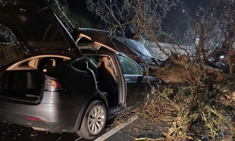 'Tesla's Autopilot redt twee gezinnen tegelijkertijd'