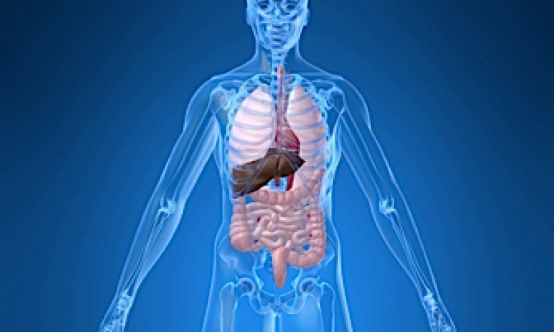 Wie zichzelf aanmeldt als donor, komt hoger op de lijst