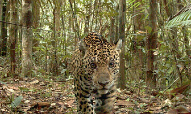 Lach eens naar het vogeltje