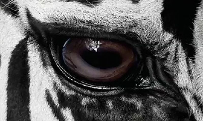 Nieuwe MacBook Pro heeft retina-scherm