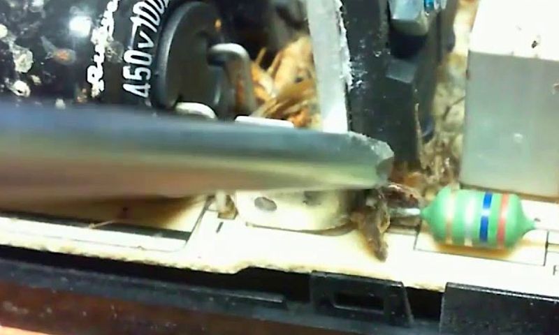 'Kakkerlakken zijn gek op de Playstation 4'