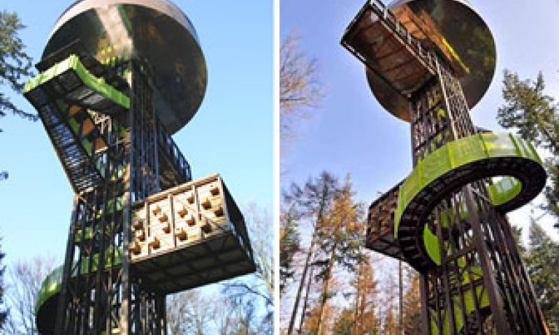 Bomen boven het bos