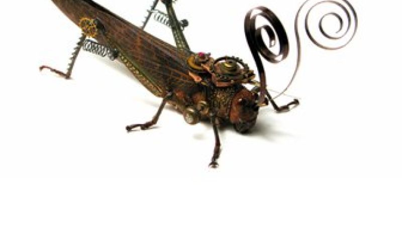 Gedroogde insekten met radarwieltjes en springveren