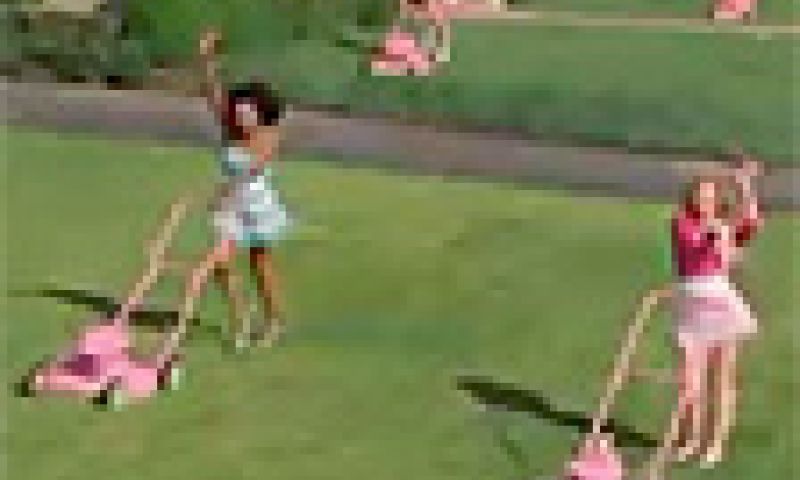 Mow the lawn