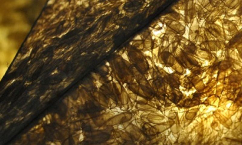 #BrightDay2: Quantified Self, LG G Pad, Sony Smart Lenses