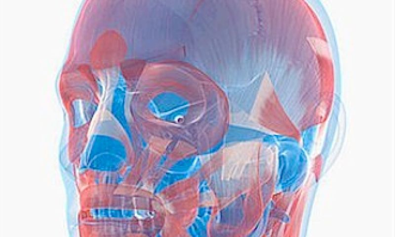 Opsporing verzocht: DNA geeft dader een gezicht