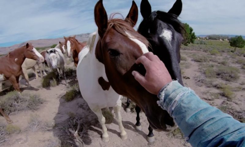 Dit zijn de drie nieuwe camera's van GoPro