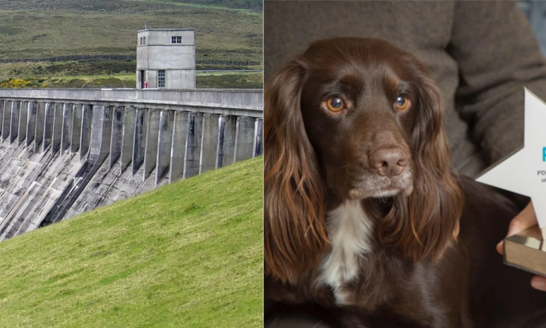 Video: Dit koffiezetapparaat draait op Alexa