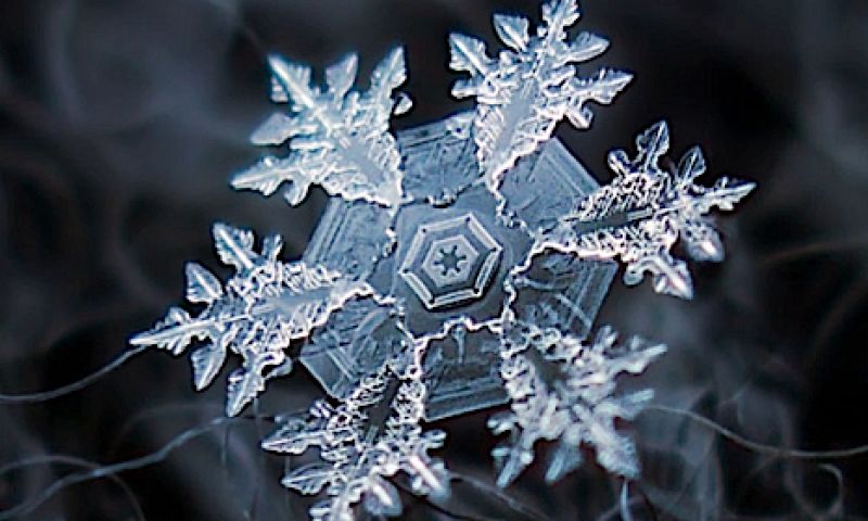 Alle sneeuwvlokjes op een rij