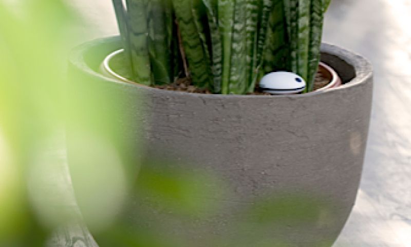 Eerste indruk: Koubachi draadloze plantsensor