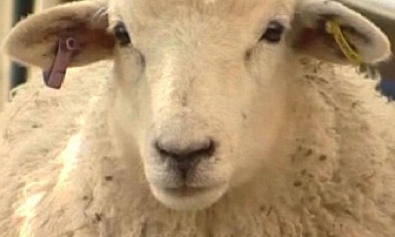 Trendwatching: internetters steeds gemener