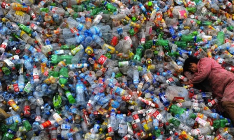 Nederlandse blog WhoCares inspireert om anderen te helpen