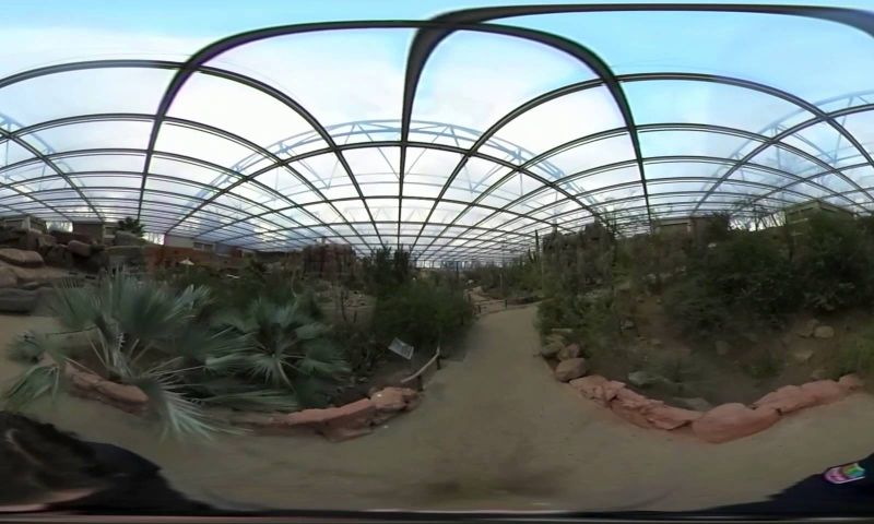 Ook paaseieren zoeken doen we tegenwoordig in VR