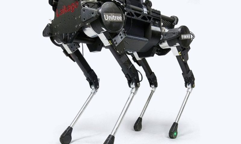 Video: Chinezen maken geavanceerde robothond na